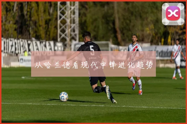 从哈兰德看现代中锋进化趋势