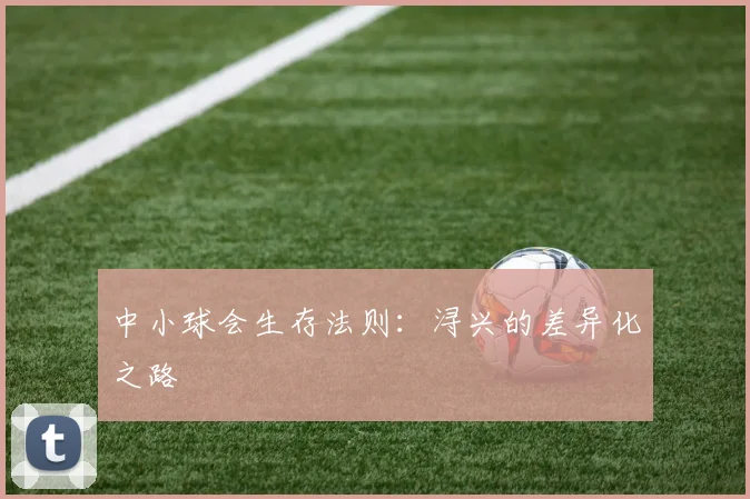 中小球会生存法则：浔兴的差异化之路