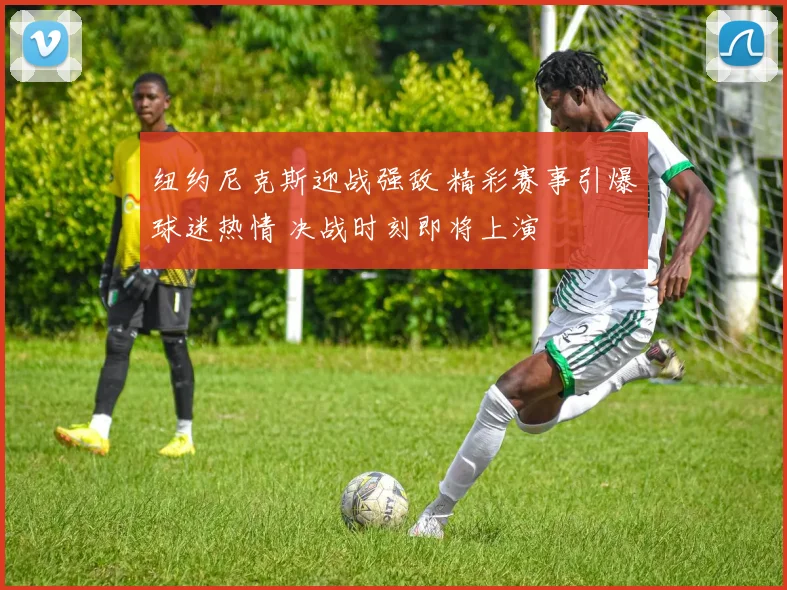 纽约尼克斯迎战强敌 精彩赛事引爆球迷热情 决战时刻即将上演