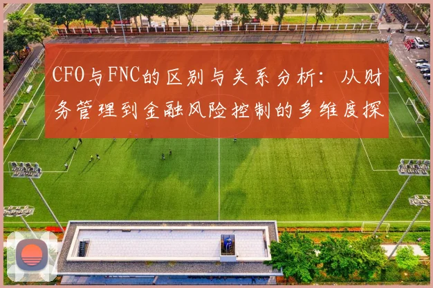 CFO与FNC的区别与关系分析：从财务管理到金融风险控制的多维度探讨