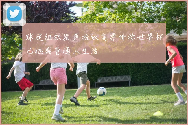 球迷组织发声抗议高票价称世界杯已远离普通人生活