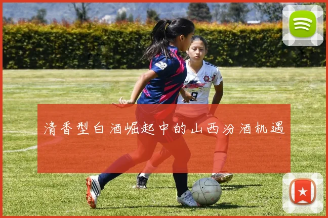 清香型白酒崛起中的山西汾酒机遇